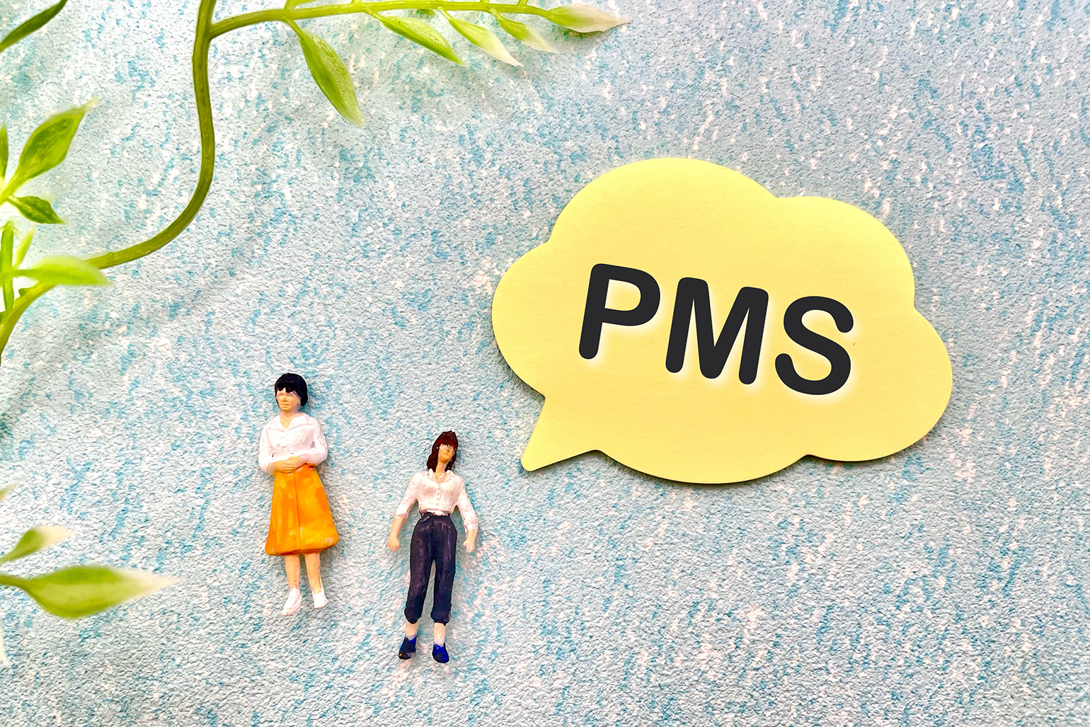PMS（月経前症候群）とは？原因や解消方法について
